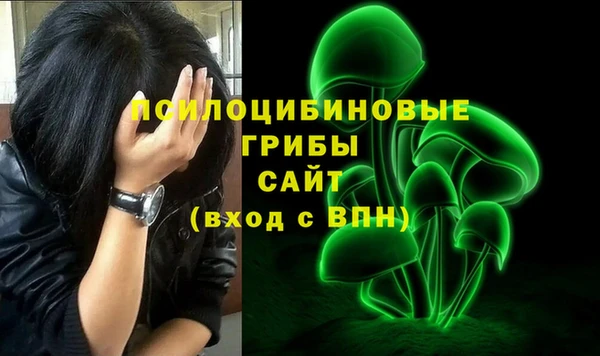 трава Бронницы